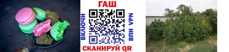 Cannafood конопля цена Волосово