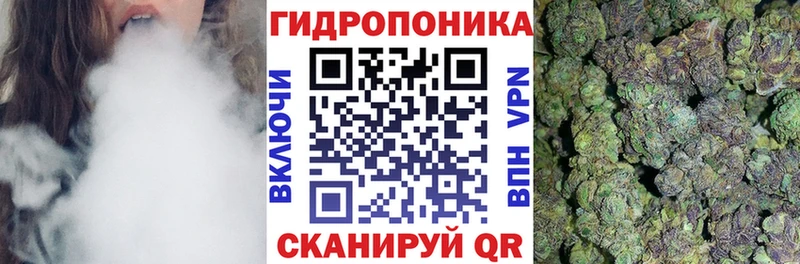 Шишки марихуана конопля  маркетплейс клад  Волосово 