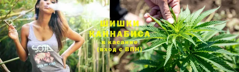 Канабис THC 21%  как найти закладки  Волосово 